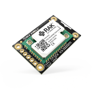 store.rakwireless.com